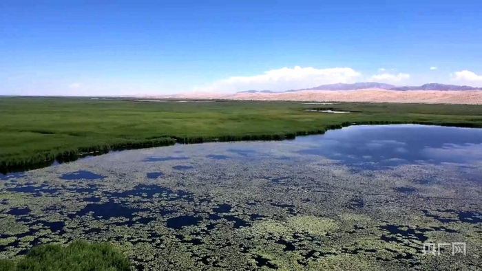 博斯腾湖国家湿地公园。央广网发