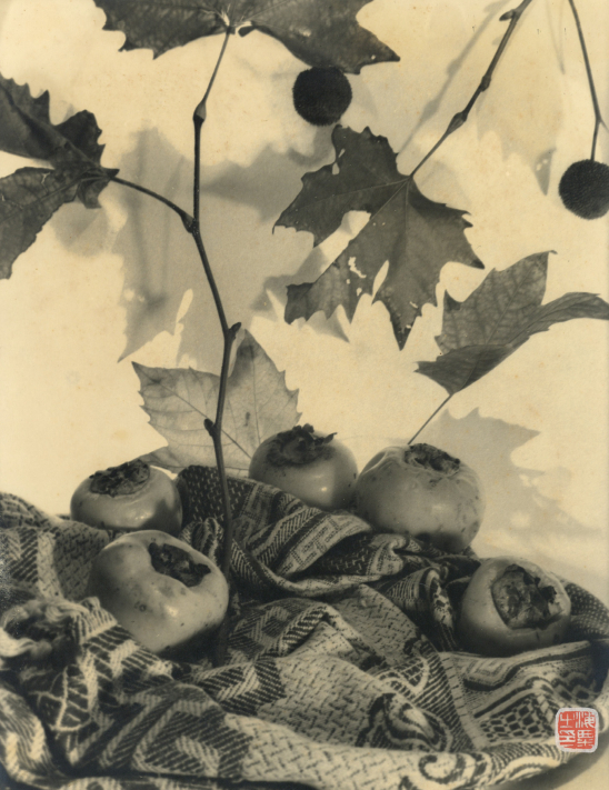 刘海粟，柿子，1930 年代，银盐纸基印章