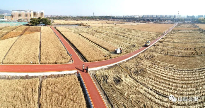 ▲俯瞰稻田公园。