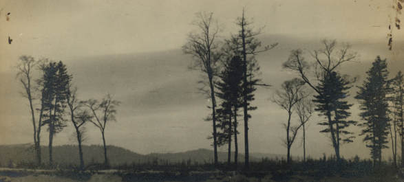 郭锡麒，画意风景，1930 年代，银盐纸基