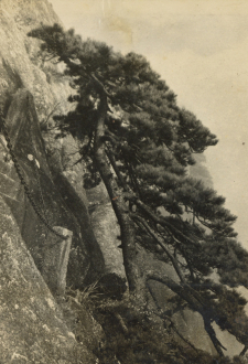 卢施福，黄山，1930 年代，银盐纸基，印章