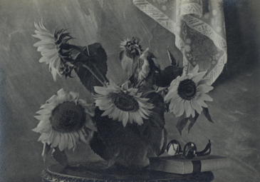 金石声，向日葵、书和眼镜，1930 年代，银盐纸基