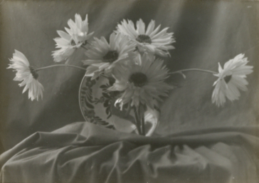 金石声，向日葵和盘子，1930 年代，银盐纸基