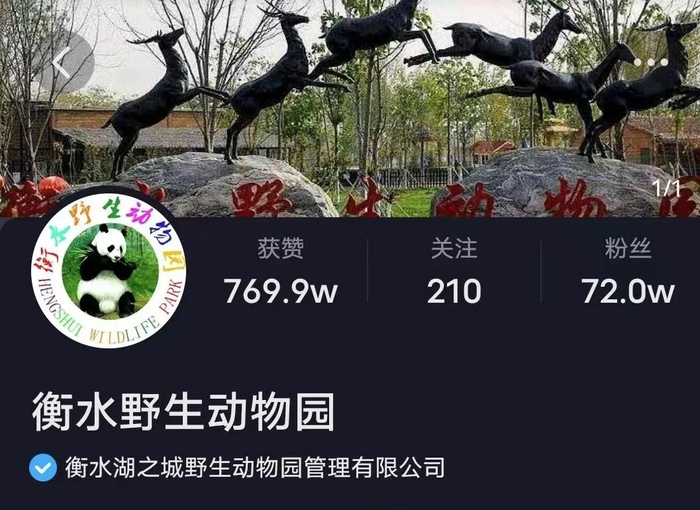 ▲衡水野生动物园在某平台已有72万粉丝，该账号发布了大量动物马戏视频。图/某视频平台截图