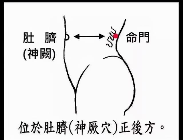 命门后撑的细致练法|张弓|功法|意念|套路|命门穴_新浪新闻