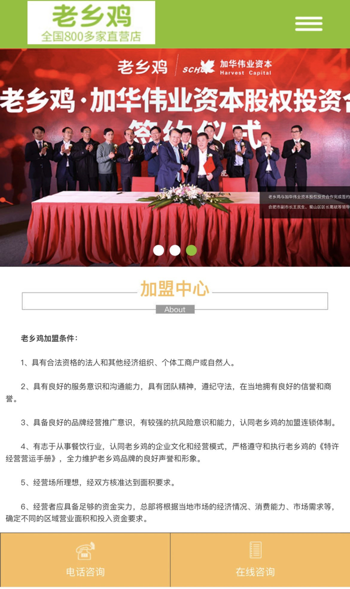 彼时的山寨官网 图片来源：网页截图