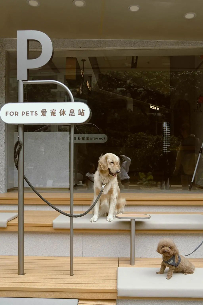 ▲宠物安全待在宠物休息站区域