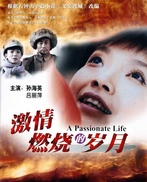 《激情燃烧的岁月》海报