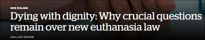 《新西兰先驱报》报道截图 