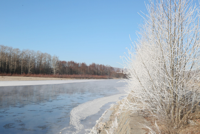 美丽的雾凇景观。呼中区委宣传部 供图
