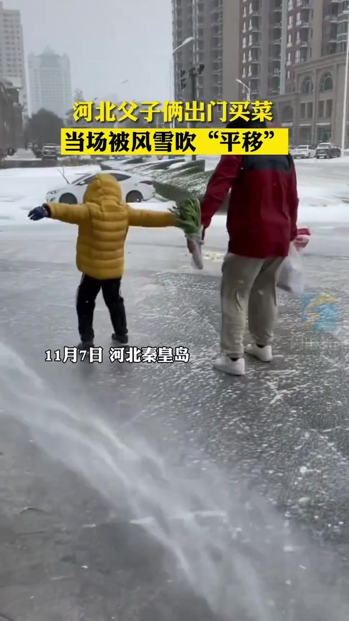 △河北秦皇岛，父子俩风雪天出门买菜时被大风吹动，在网上热传。 来源：闪电新闻