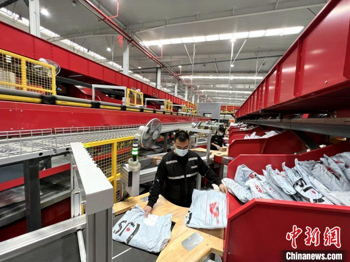 工作人员在福州顺丰速运有限公司福州集货中转场分拣快递。　叶秋云 摄