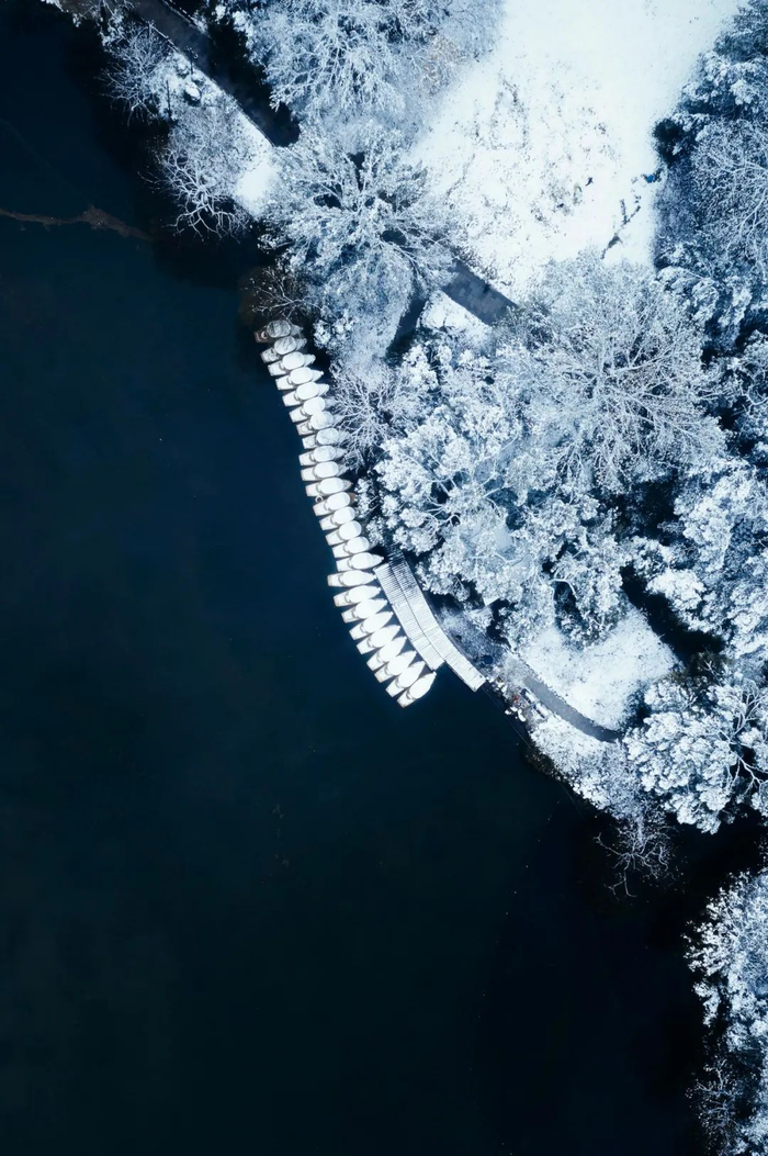 杭州花港，雪天船只归岸。摄影/韩阳