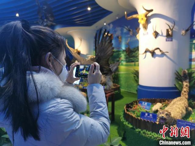 图为游客参观青海省公安厅野生动物保护宣传普法教育基地。 文思睿 摄