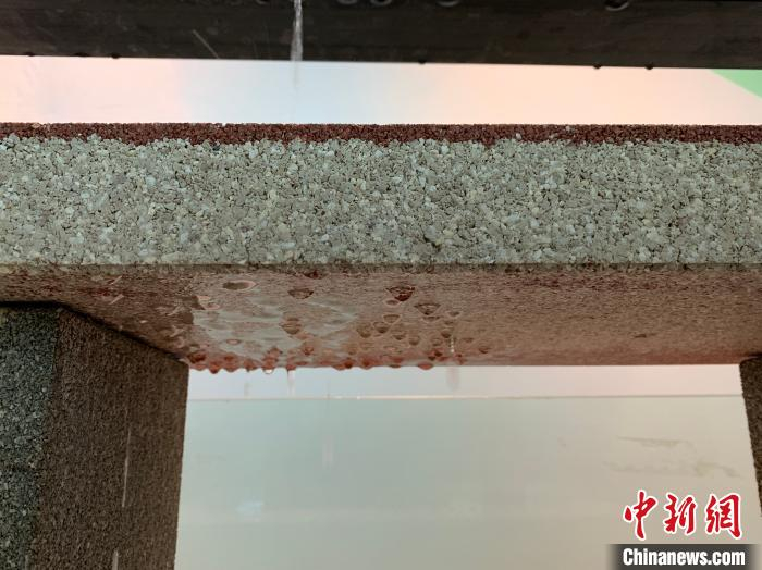  图为萍乡市内各公园铺设的透水砖。　李韵涵 摄