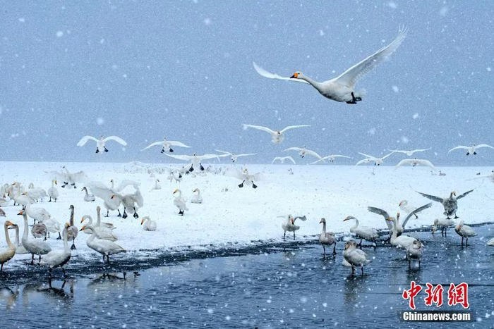 中新社发 滨海之光 摄 图片来源：CNSPHOTO