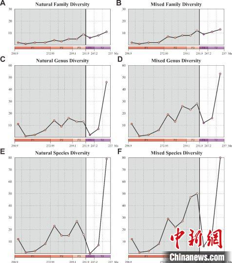 早二叠世至中三叠世甲虫多样性变化曲线。　研究团队  供图