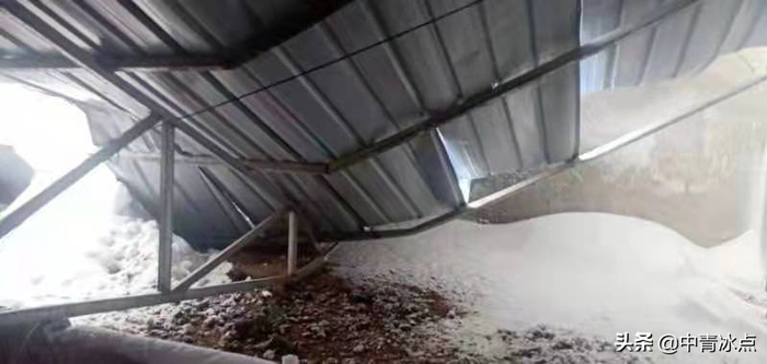 被大雪压塌的大棚。受访者供图
