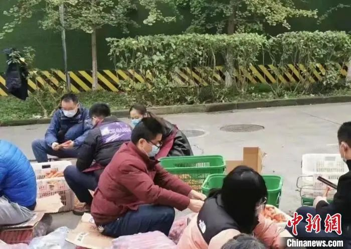 教授、老师们蹲在地上摘菜。成都理工大学供图