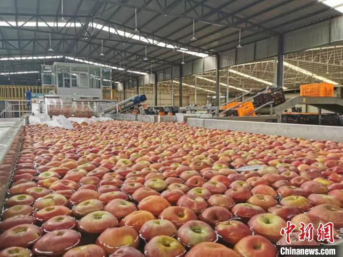 凉山生产的农特产品。　张正伟 摄