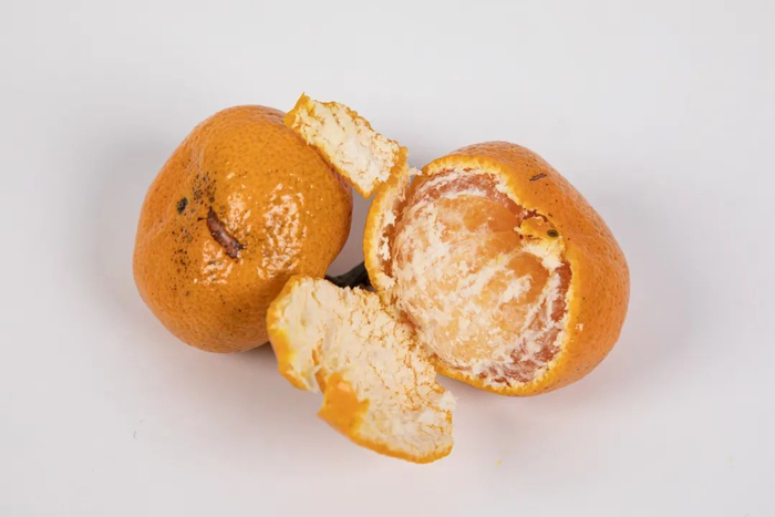 ▲我从超市买的普通桔子，皮超厚，渣超多！