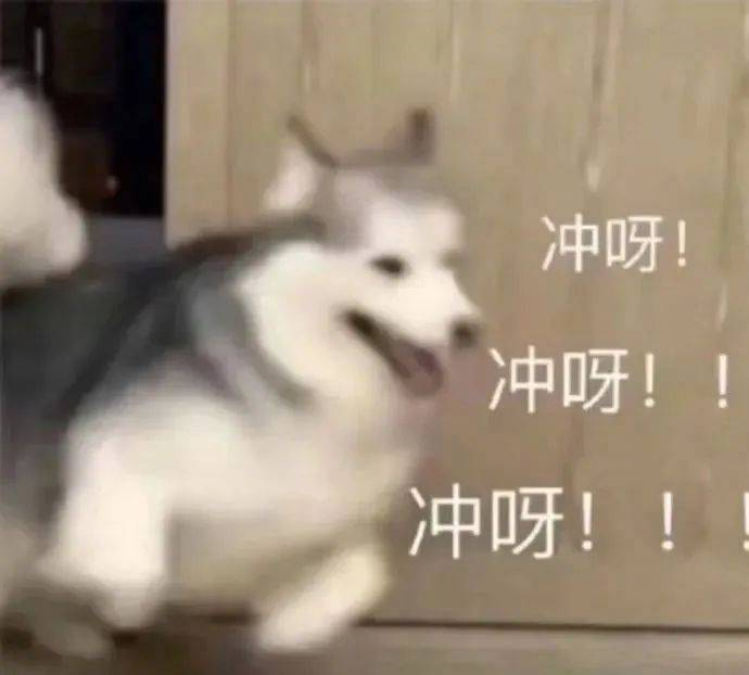 表情包 | 快来!快来!|表情包_新浪新闻