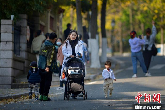 游客在青岛八大关景区赏叶游玩。　王海滨 摄