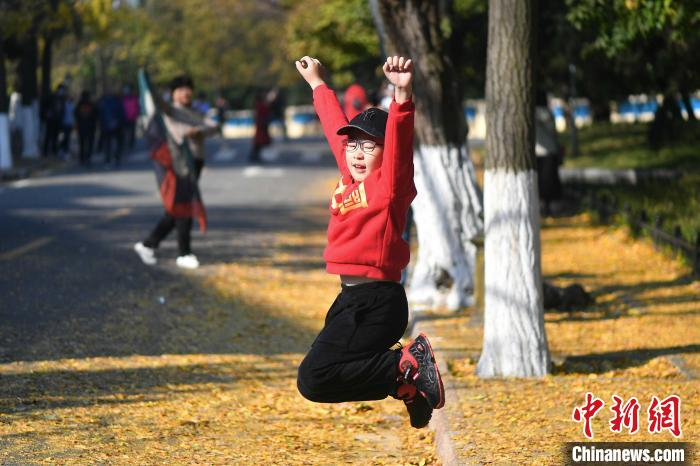 一名小朋友在青岛八大关景区银杏树下拍照。　王海滨 摄