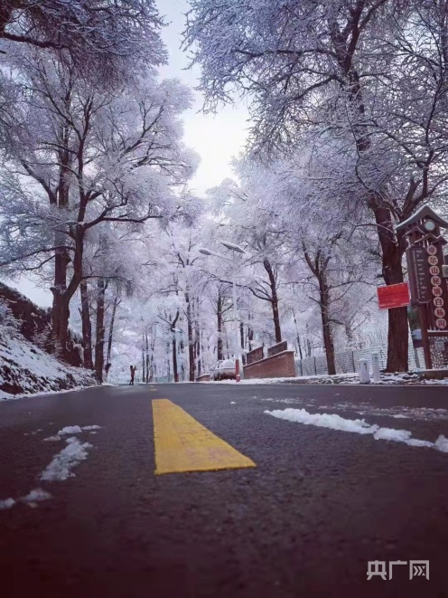 白杨沟村冬季雪景（央广网发 邓德英摄）