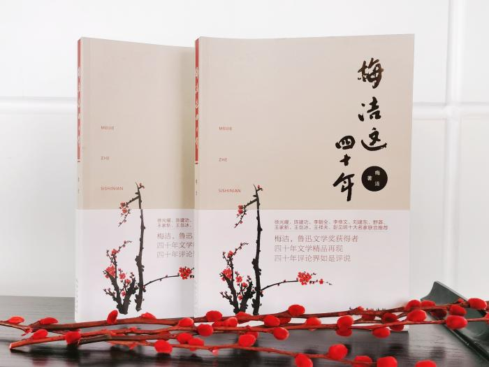 《梅洁这四十年》。湖北人民出版社供图