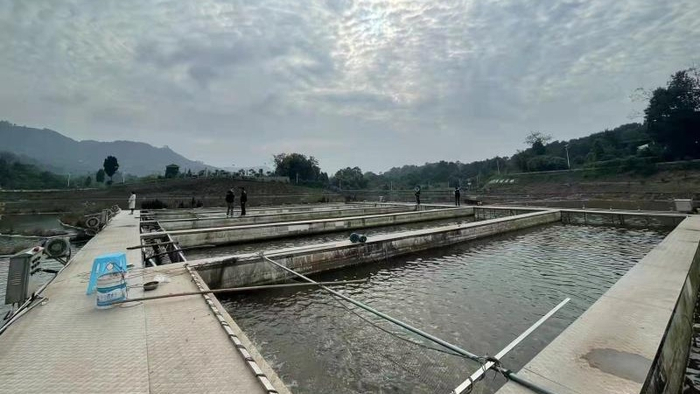 巴南区二圣镇龙马谷生态鱼养殖基地（央广网发 巴南区网信办供图）