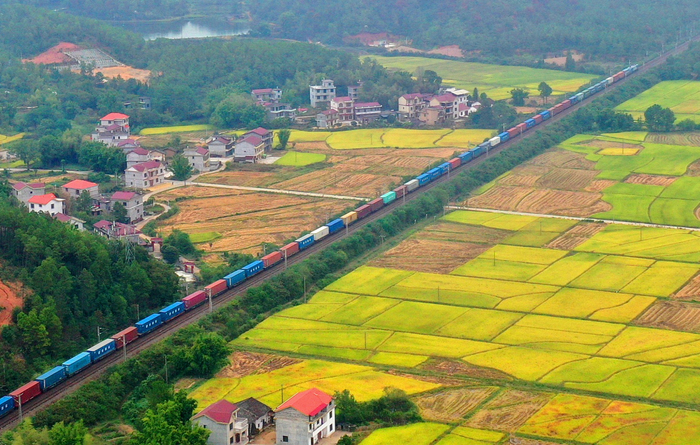 一列拉着各色车皮的火车在京九铁路上飞驰（央广网发 视觉中国供图）