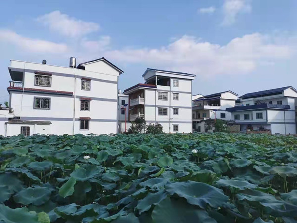 钟山县同古镇和平村乡村风貌改造完工（央广网发 张喜见摄）
