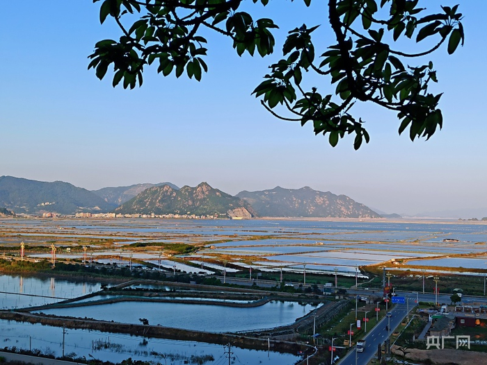 高山上眺望霞浦滩涂（央广网记者罗晓英摄）