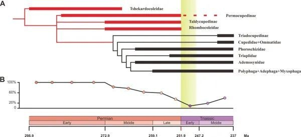 早期甲虫系统发育树（A）和蛀食类群占比生态变化曲线（B）（图片来源：中国科学院南京地质古生物研究所）