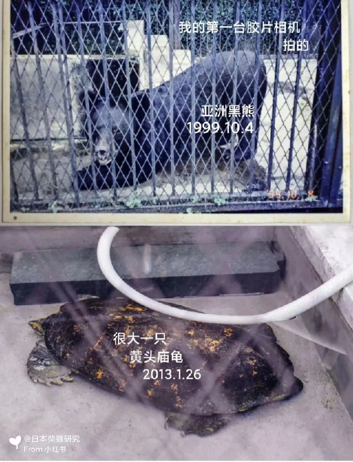 受访者供图