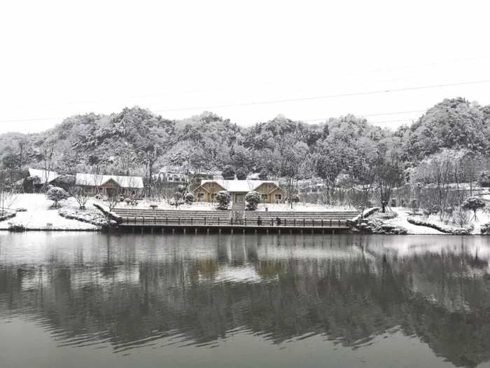 昭通市委宣传部供图