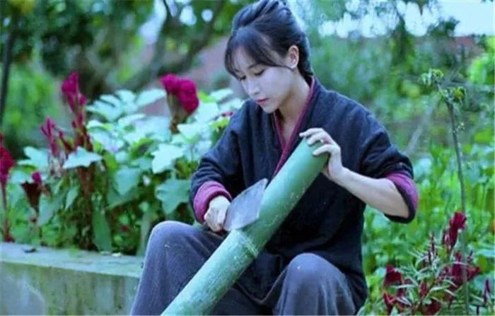 李子柒（资料图）