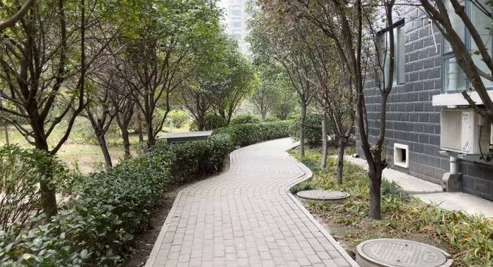 ▲耿玉莲老人被狗咬伤的事发地——安阳锦华苑小区便道。新京报记者 雷燕超 摄