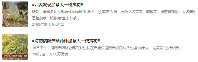 来源：新浪微博截图