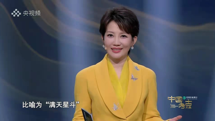 央视考古大会来了,主持人王端端播音腔出戏,明星推广人喧宾夺主