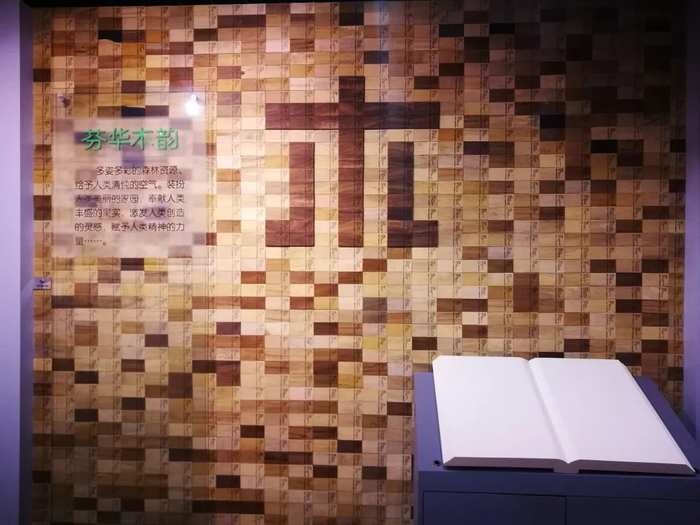 张家港海关科普基地木材馆——木材标本墙 。图/张家港海关