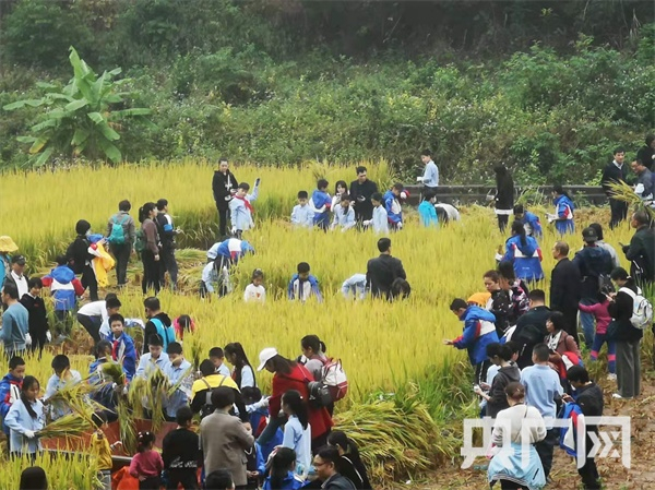 实践基地里密密麻麻的人群。（央广网发   记者唐志强摄）
