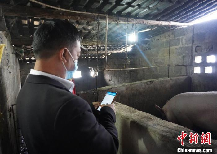 李林使用“防控管家”App开展工作。　周燕玲 摄
