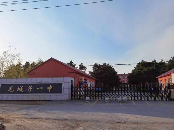 杨某芬生前任教学校，公主岭市毛城子镇第一中学。被害人家属供图。