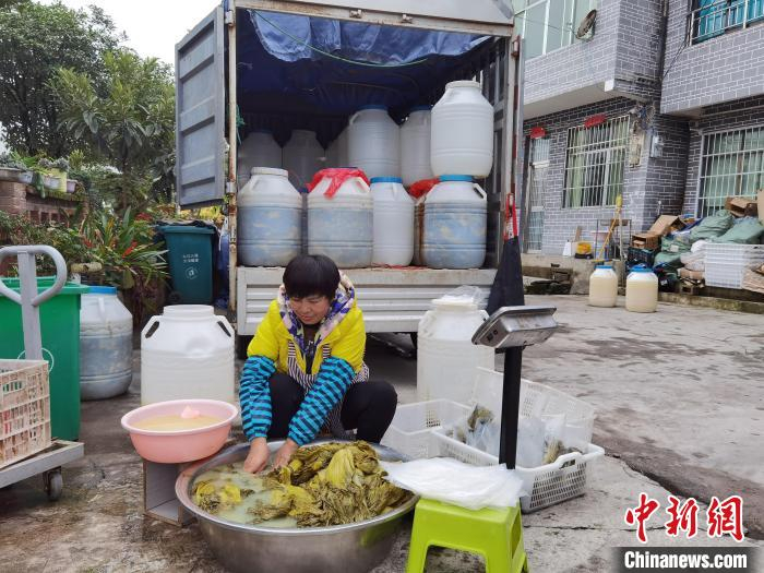 息烽县的农特产品酸菜。　周燕玲 摄