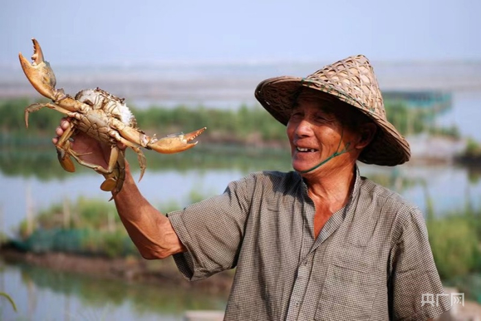 三门青蟹名满天下 （央广网发 三门县宣传部供图）