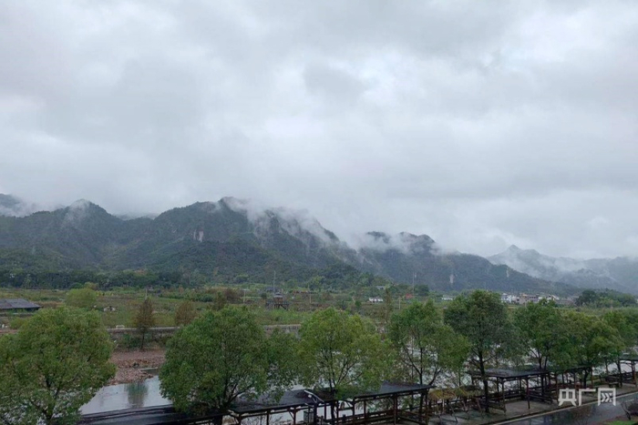 后岸村风光（央广网记者 魏炜摄）