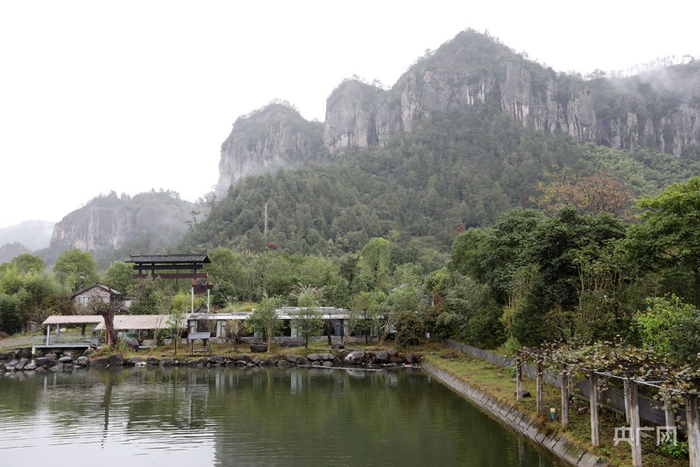后岸村风景（央广网记者 魏炜摄）