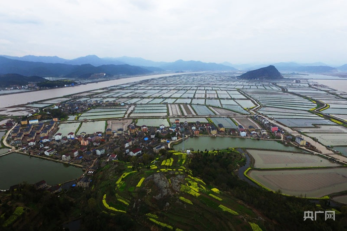 三门青蟹养殖塘（央广网发 三门县宣传部供图）